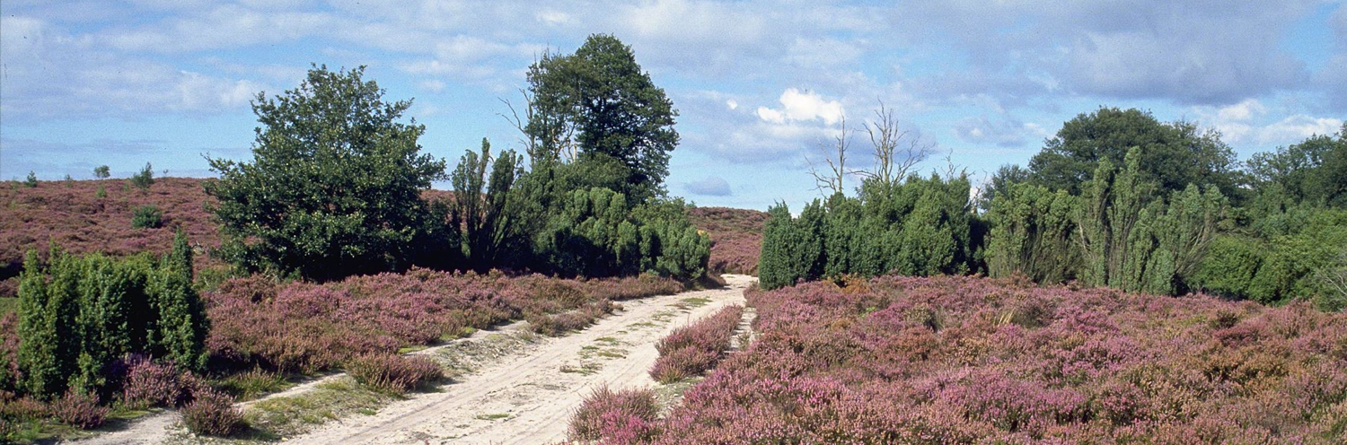 Holterberg